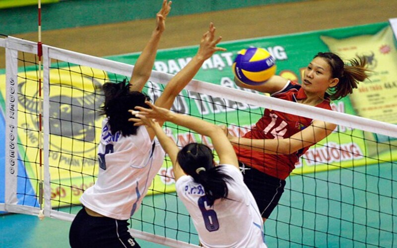 Tổng quan về các vị trí bóng chuyền: hiểu để chơi hay hơn